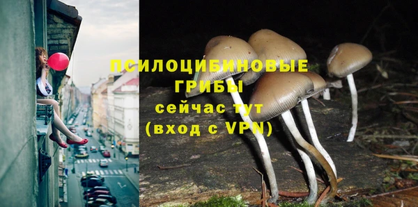 марки nbome Алзамай