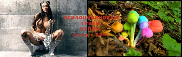 ALPHA PVP Алексин